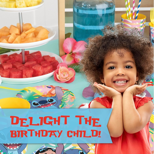 Lilo and Stitch Birthday Party Decorations for 16 | Banner, Tablecloth, Stitch P - Picture 6 of 12