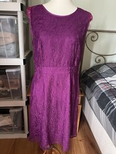Briton Ivy Large Fuchsia Lace Shift Dress W/Zipper Closure