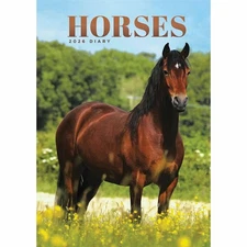 Carousel Calendars Horses A5 Diary 2026