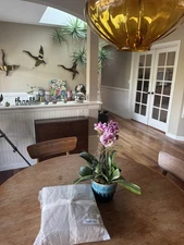 NWT- The Citizenry Stonewashed Linen Duvet Cover - Sand King/Cal King -MSRP $339