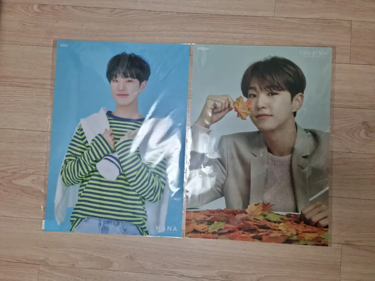 seventeen HOSHI JAPAN GOODS CLEAR poster HANA OD2U ODCORN | eBay