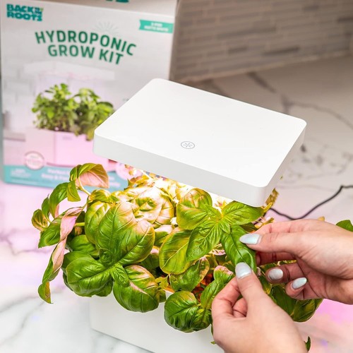 Sustainable Hydroponic Grow Kit - Indoor Garden with Organic Seeds & Kids' Fun - Picture 8 of 11
