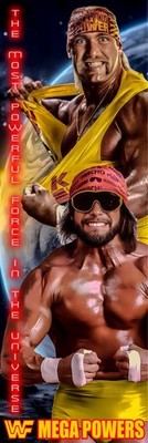 WWE GIANT 2 X6  VINYL BANNER - MEGA POWERS HULK HOGAN MACHO MAN RANDY SAVAGE
