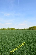 Photo 12x8 Crop field and contrail Robhurst Near Tiffenden Manor Farm. c2014