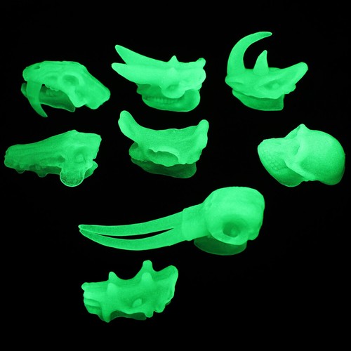 Luminous Animal Skull Model Child Dinosaurs Bone Toy - 第 1/12 張圖片