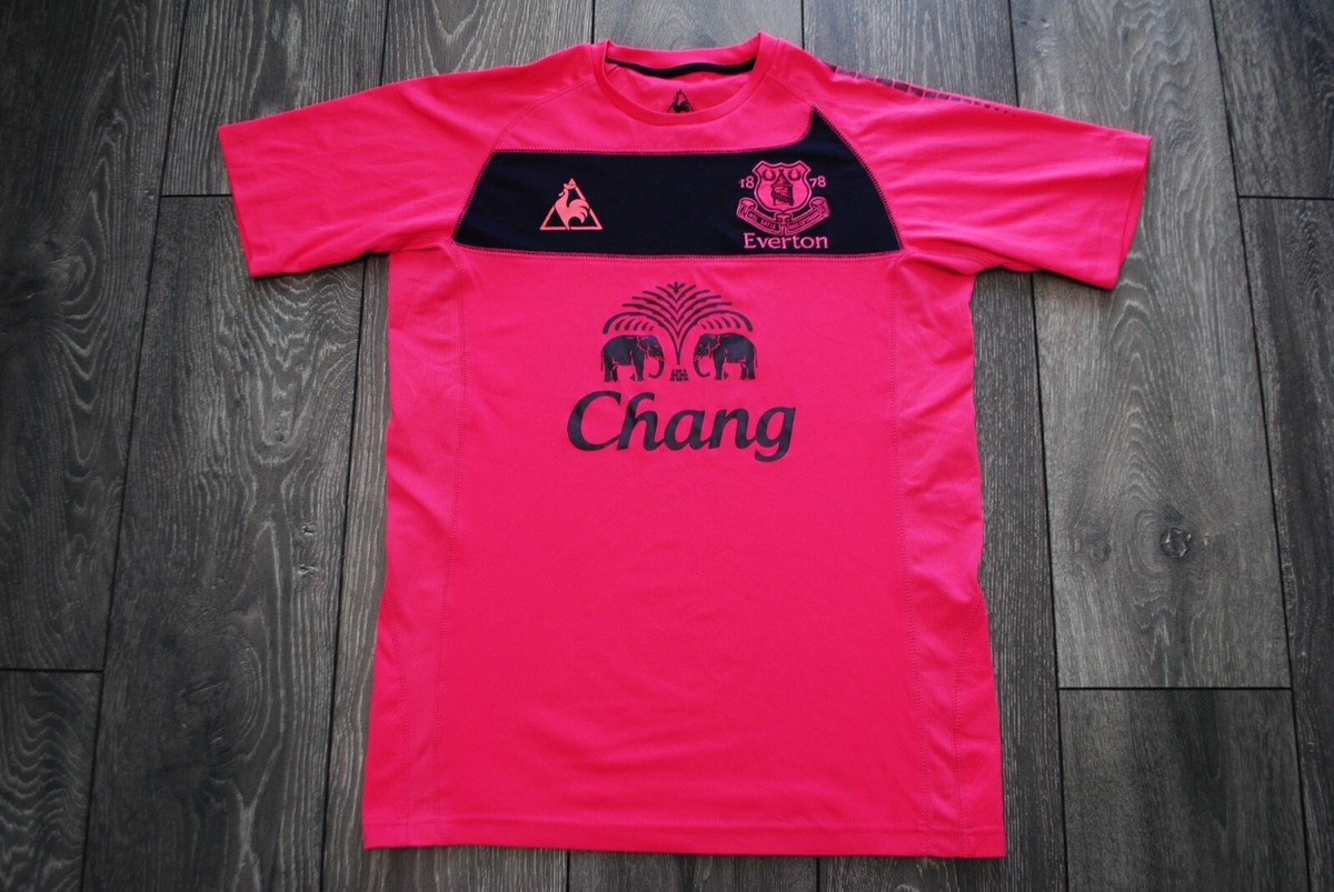 EVERTON JERSEY 2010-2011 AWAY SHIRT FOOTBALL SOCCER LE COQ SPORTIF