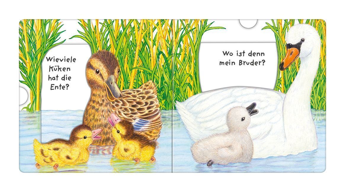 Thumbnail - Tierkinder, Wo Seid Ihr? Helmut Spanner Buch Unzerr. 12 S. Deutsch