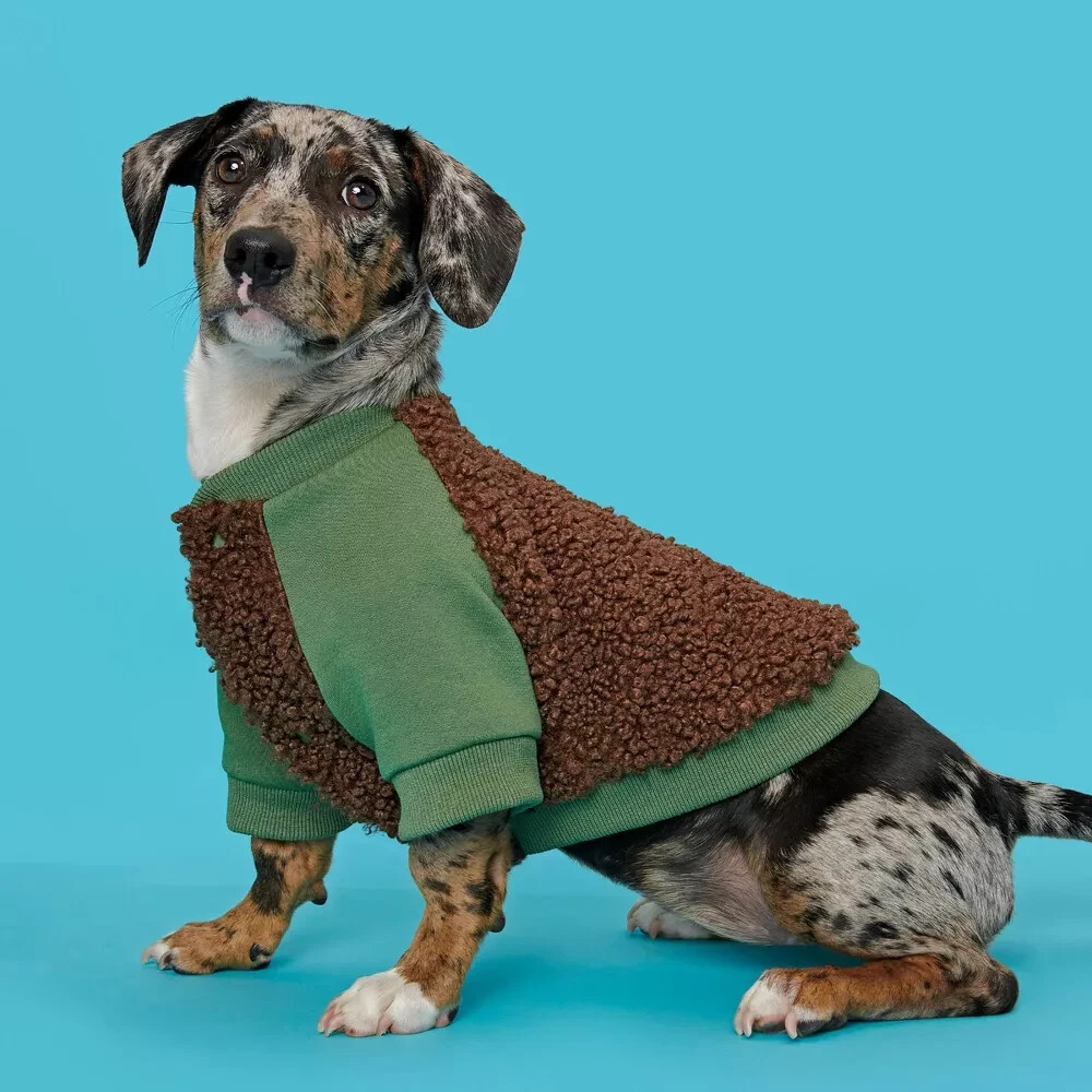 BARK Home Varsity Dog Jacket Green S eBay