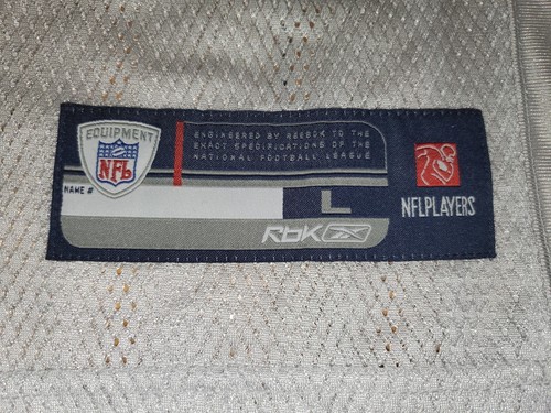 Vintage 2005 Reebok Ike Hilliard TAMPA BAY BUCCANEERS Buccs NFL Team JERSEY Sz L - Picture 10 of 13