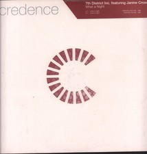 7th District Inc. Featuring Janine Cross What A Night double 12" vinyl UK