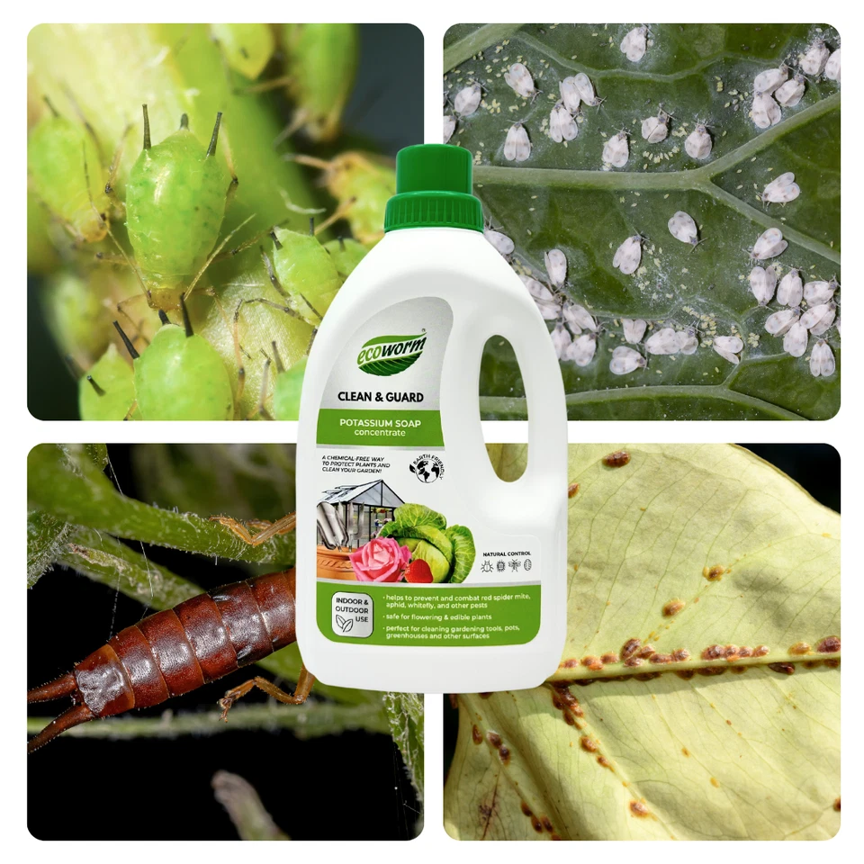 Concentrado de jabón de potasio orgánico Ecoworm 35 fl oz Foto 2 de 2