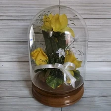 Terrarium Preserved Silk Yellow Flowers Display Box