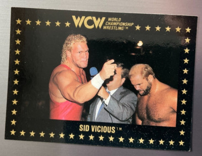 1991 Championship Marketing WCW #18 Sid Vicious w/ Jim Ross & Arn Anderson NWA