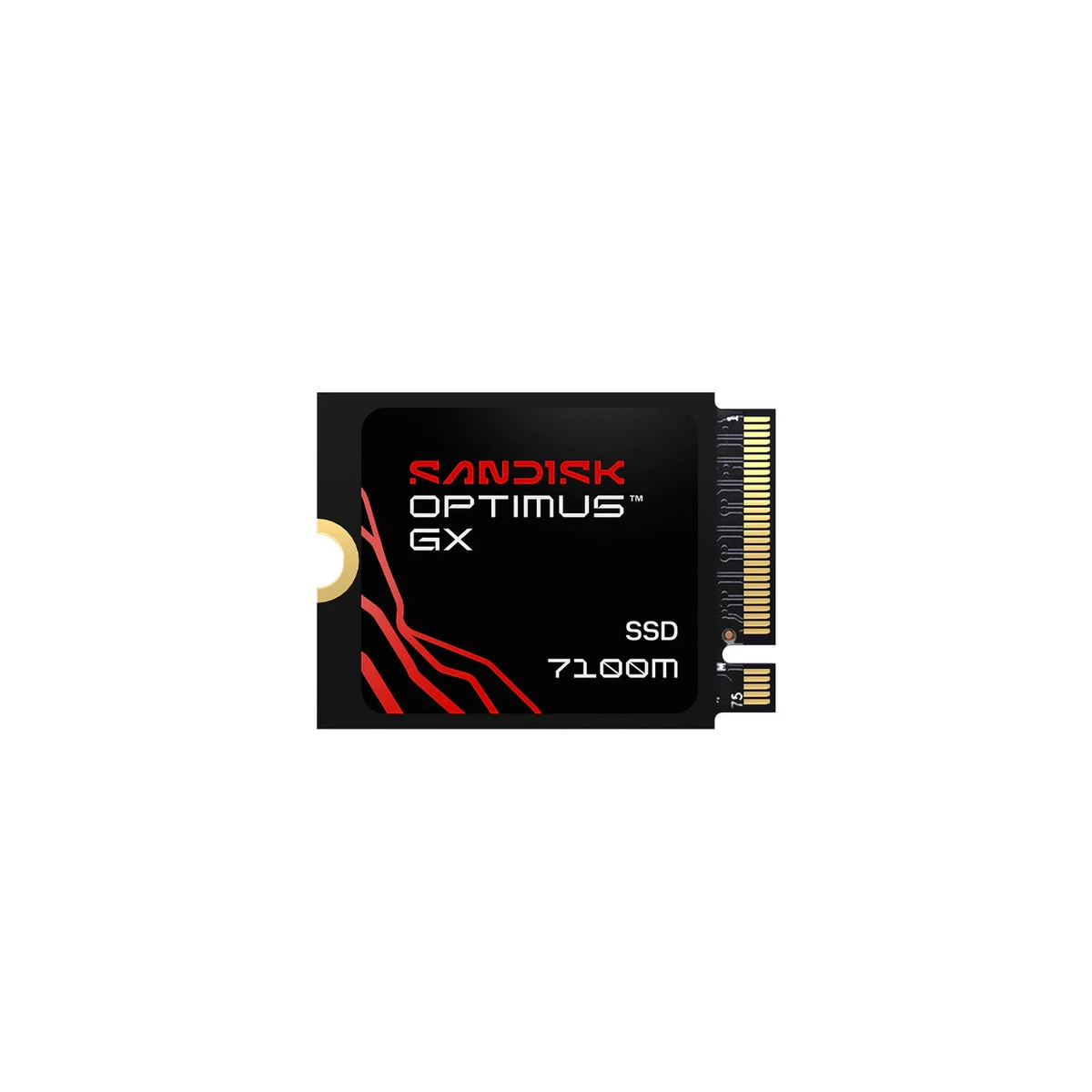 SanDisk M.2 Interface 1 TB Solid State Drives for sale | eBay