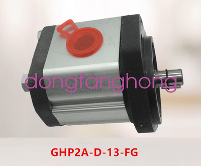 new MARZOCCHI high pressure gear pump GHP2A-D-13-FG oil pump FedEx or DHL or UPS