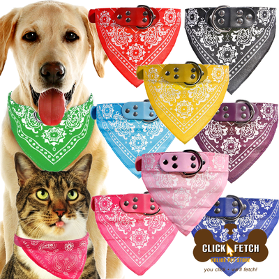 extra large cat collars