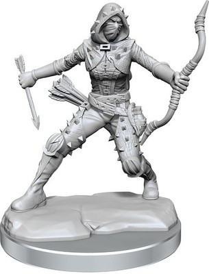 WZK75038 Wizkids Dungeons & Dragons Frameworks: W01 Human Rogue Female