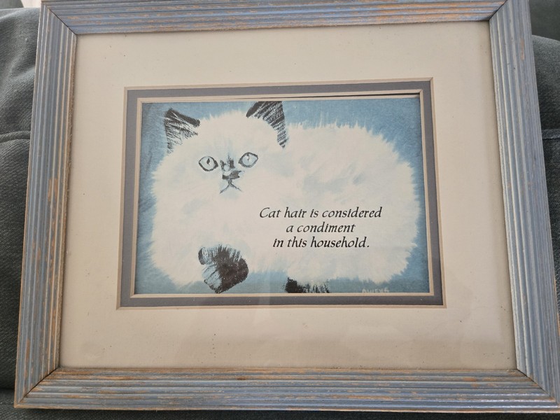 Vintage Cat Print, Framed CAT HAIR IS CONSIDERED A CONDIMENT IN THIS HOUSEHOLD.