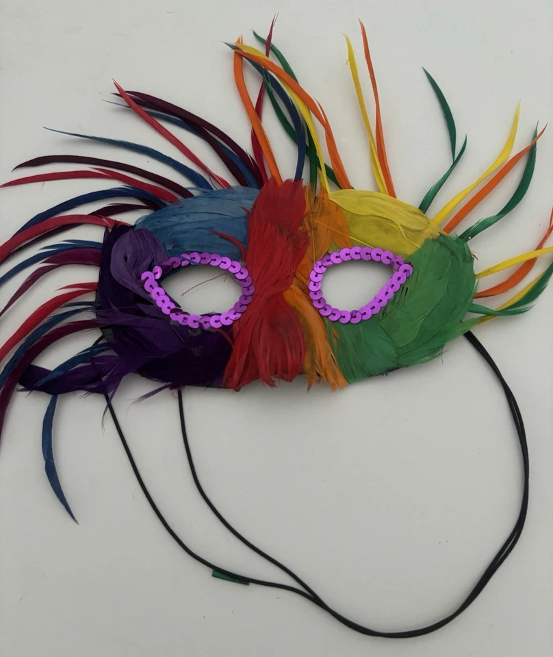 Lote de 5 Máscaras Misceláneas de Mardi Gras y Disfraz Foto 3 de 4