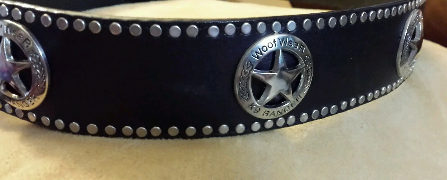 Pet Collars in black leather w/Starred Concho's, made in USA