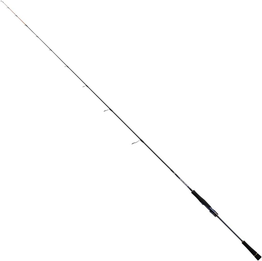 Daiwa 21 SALTIGA SLJ 61MS TG 6ft 1in 1pc Spinning Rod | eBay