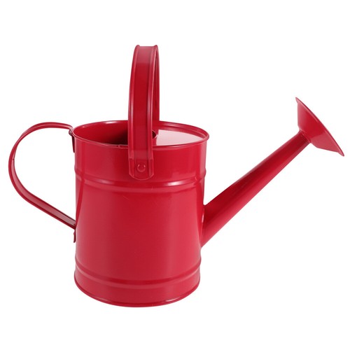 Children's Watering Pot Toddler Gardening Bucket Iron Can for Indoor Plants