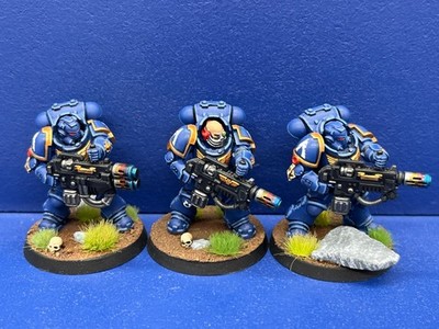 3 Primaris Eradicators der Ultramarines GUT BEMALT 1