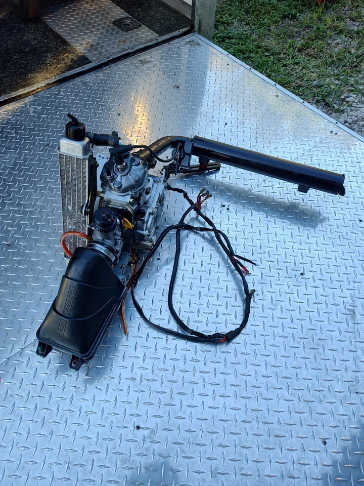 Rotax Micro Max 125cc Foto 4 de 4