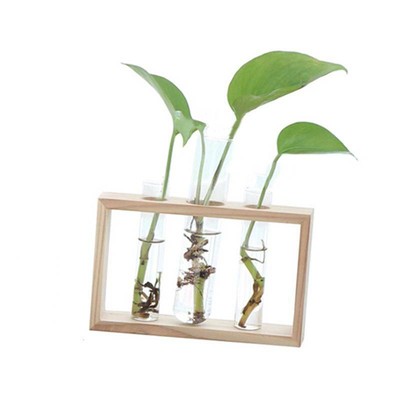 Clear Glass Test Tube Diy Flower Vase Plant Pot With Wood Stand
