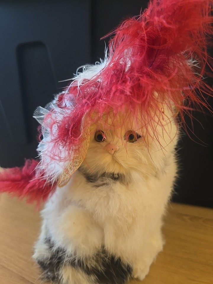 Vintage Stuffed Toy White Rabbit Fur Cat Collectible Kitty Feathers Hat