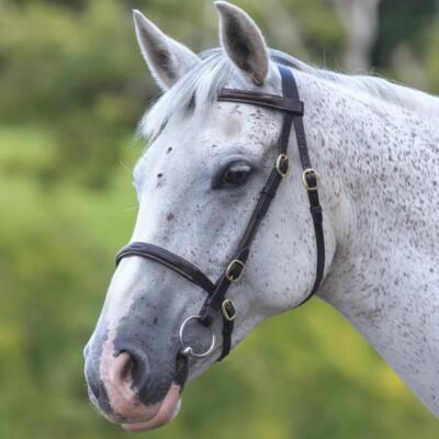 Shires Velociti GARA ausgefallen genähte Inhand Trense - schwarz
