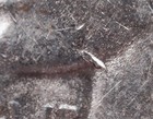 TOP 50 1923 Peace Dollar VAM 1A1 "Whisker Jaw" ANACS AU 50 See Pic & VAM Info — photo 3