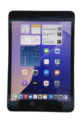 Apple iPad mini (5. Generation) 2019 Tablet, 64GB, Wi-Fi, Space Grau, A2133 - Bild 1 von 4