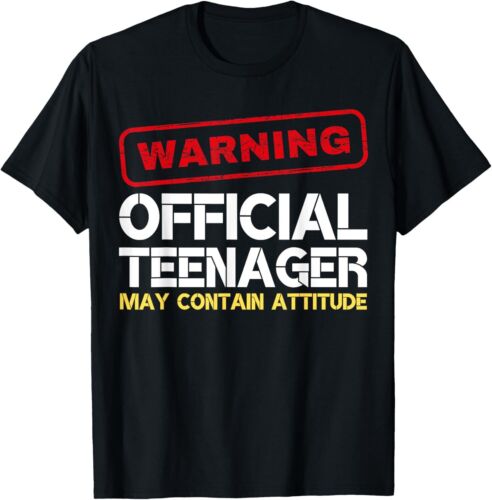 Vintage Official Teenager 13th Birthday Boys Girls 13 Yr Old T-Shirt Hoodie - Picture 6 of 17