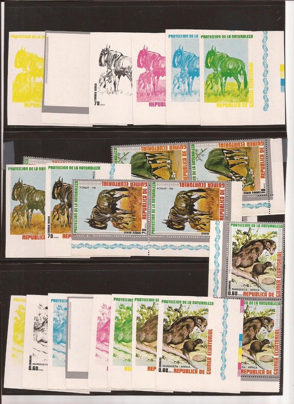 EQUATORIAL GUINEA- Animal Protection issues in pairs 2 groups of progressive col