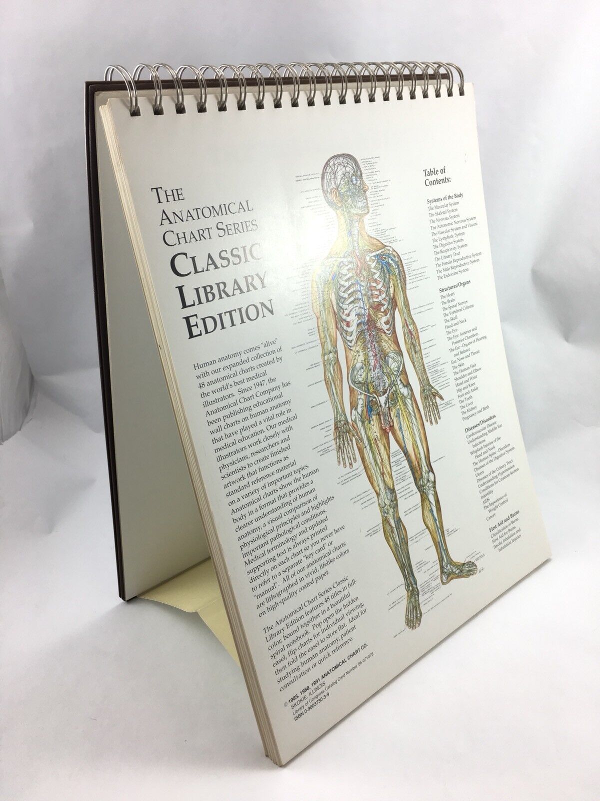 The Anatomical Chart Series