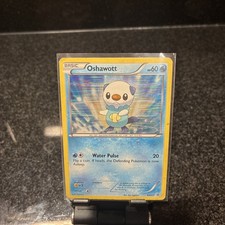 Pokemon 2011 TCG Oshawott Black White Black Star Promo Holo Card No. BW03 on eBay