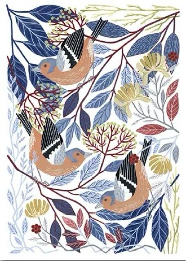 Chaffinches  Fine Art Blank Greeting / Birthday Card British Garden Birds Nature