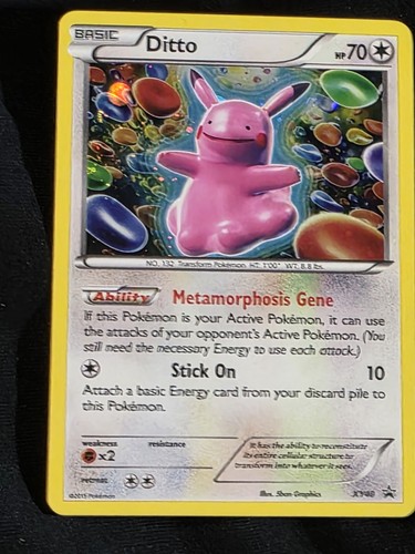 Ditto
