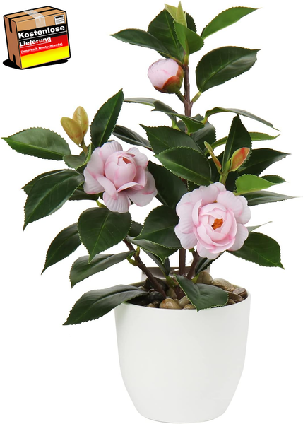25Cm Kunstpflanzen Im Topf FüR Heimdekoration KüNstliche Zimmerpflanze Camellia,-image
