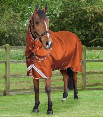 Premier Equine Stratus 600D Series 200g Weidedecke mit klassischem Nackenschutz Oran