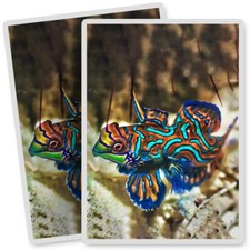 2 x Vinyl Stickers 7x10cm - Mandarinfish Tropical Madarin Fish #45666