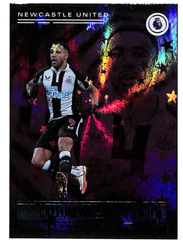 2021-22 Panini Chronicles Callum Wilson #189