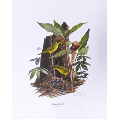 Ray Harm Limited Edition Hand Signed Silkscreen Bird Print ''KENTUCKY WARBLER''