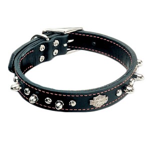 harley davidson leather dog collar