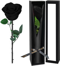 Black Single Forever Roses in a Box,Preserved Flowers for Delivery,Preserved
