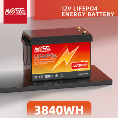 12V 24V 100Ah 140Ah 300Ah LiFePO4 Lithium Battery Bluetooth RV Solar Off-grid