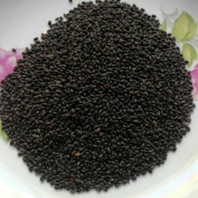 Indian Basil Seeds (Sabja) / Tukmaria - A Natural Super FOOD! FREE SHIP