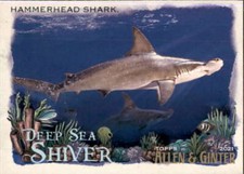 2021 Allen and Ginter Deep Sea Shiver #DSS-6 Hammerhead Shark 