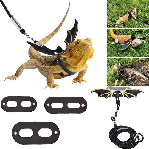 lizard leash leopard gecko